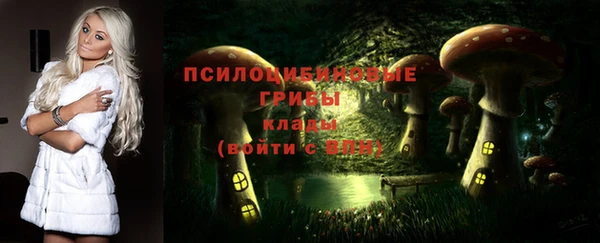 круглые Ельня