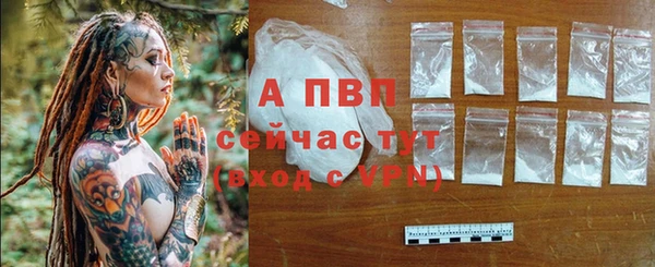 гашик Беломорск