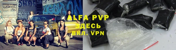 гашик Беломорск