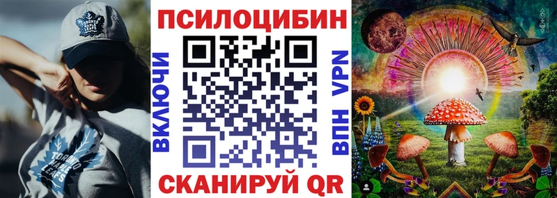 Галлюциногенные грибы Psilocybe Касли