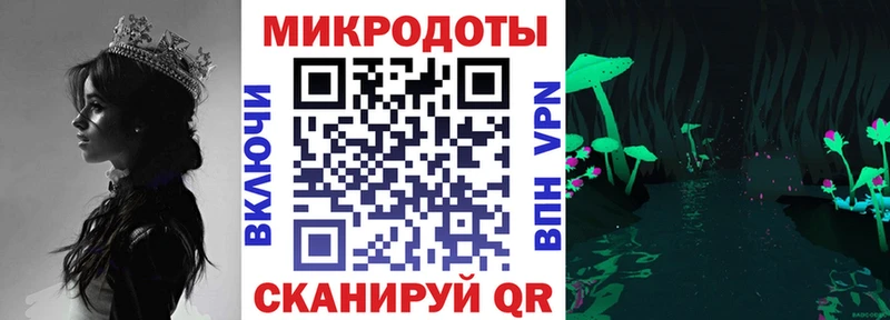 Галлюциногенные грибы мухоморы  мега как войти  Касли 